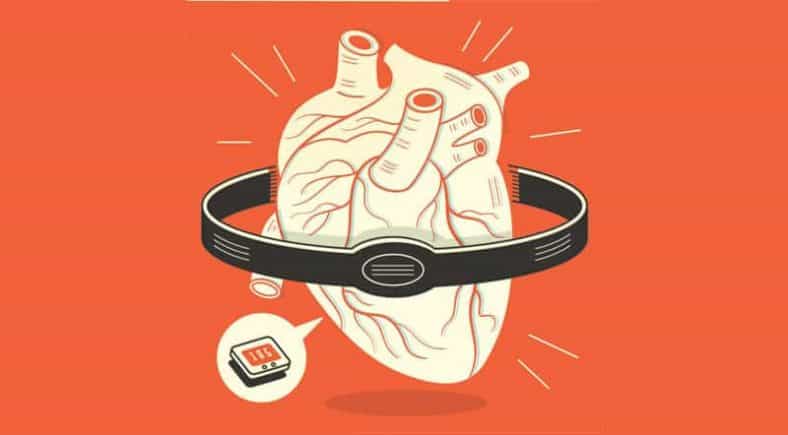 Heart Rate Zones | Finding Your Target Heart Rate