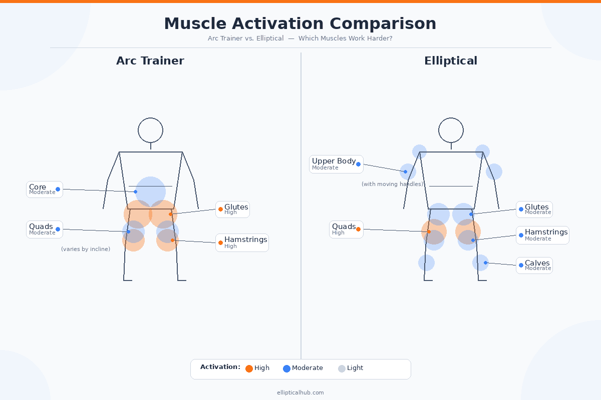 Muscle activation comparison diagram for arc trainer vs elliptical trainer