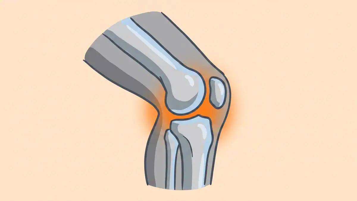 Recumbent elliptical benefits for bad knees — illustration of a protected knee joint