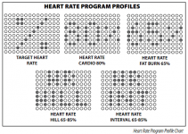 Endurance E5000 Premium Elliptical Trainer
